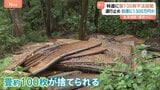 「腹立たしいし強い憤り」林道に畳100枚不法投棄…生活道路が通行止めに、処理費用は1300万円見込み|TBS NEWS DIG