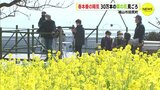 春本番の陽気　菜の花も見ごろ　広島･福山市　|　RCC NEWS | 広島ニュース | RCC中国放送