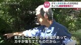 柿の木に残されたクマの爪痕 人身被害があった住宅近くで痕跡が続々と見つかる 警戒続く 富山|TBS NEWS DIG