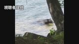 今年度のクマによる被害の犠牲者7人 過去最多に|TBS NEWS DIG