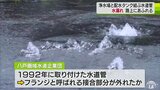 1992年に埋設　浄水場と配水タンク結ぶ水道管で水漏れ　市道の一部に水溢れる　青森県八戸市|TBS NEWS DIG