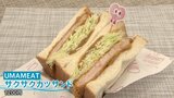 カツサンドにジャム？「さっぱり食べられる」代々木公園に驚きの台湾グルメが大集合！|TBS NEWS DIG