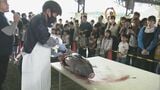 ことしも開催 “魚まつり” 新鮮なマグロやハマチなど クイズや解体ショーも! 三重・尾鷲市 | 名古屋・愛知・岐阜・三重のニュース【CBC news】 | CBC web