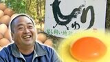 予約6か月待ちの“幻のたまご”復活に向けて…経営破綻乗り越え、農園再建へ再スタートした男性 熱い思いに広がる支援の輪 | 高知のニュース・天気|KUTV NEWS | KUTVテレビ高知