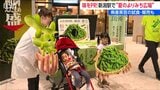 帰省客に「新潟県産枝豆」を㏚ 2袋購入で つかみ取りできるサービスも|TBS NEWS DIG