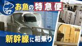 新鮮な「お魚」を時速２６０キロで大量輸送、新幹線の客室に“相乗り”　|　福岡のニュース｜RKB NEWS｜RKB毎日放送