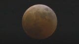 【写真あり】山形からも見えた!皆既月食&天王星食 写真で振り返る | 山形のニュース│TUYテレビユー山形