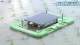 アイガモがロボットに? 担い手不足の中スマート農業に注目 岩手・花巻市で実演会|TBS NEWS DIG
