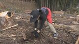 こどもたちが植林体験　針葉樹伐採した跡地にモミジやサクラなど広葉樹植える　|　名古屋・愛知・岐阜・三重のニュース【CBC news】 | CBC web
