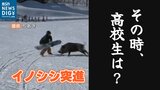 「あれ?と思ってよく見たらイノシシで…」スキー場に出没したイノシシが突進!その時、高校生は…|TBS NEWS DIG
