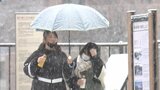 岩手県内広く雪や雨 気温は8地点で今季最低を記録|TBS NEWS DIG