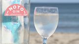 世界的コンテストで金賞受賞の“クラフトジン” 蒸留酒好きが高じて50代で一念発起した開発者の想い|TBS NEWS DIG