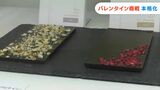 バレンタインデー商戦 天満屋岡山店では創業195周年を記念 養蜂で採れたはちみつ入りチョコ【岡山】|TBS NEWS DIG
