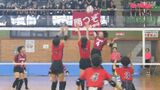 24チームが頂点目指す 岡山県の小学生バレーボールの頂点を決める決勝大会【岡山】|TBS NEWS DIG