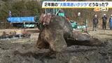 大阪湾の“迷いクジラ”２年ぶり土から掘り起こし　骨の標本になる予定　吉村知事「博物館で見ていただけるのは非常に意義のあること」|TBS NEWS DIG