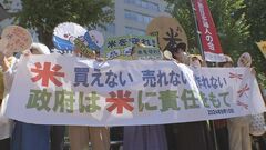 コメ不足　農水省前で消費者などが安定供給求める　約200人参加| TBS CROSS DIG with Bloomberg