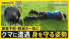 深刻化する“クマ害”「国民の命守れない」秋田県が自衛隊派遣を要請　もしクマと至近距離で出会ったら？被害を軽減する“ある姿勢”とは【news23】| TBS CROSS DIG with Bloomberg