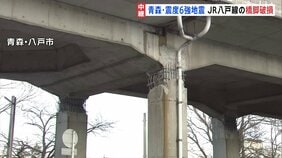 JR八戸線の橋脚が破損 青森震度6強の地震 八戸港では地面に亀裂 八戸市小中学校再開 一方観光への影響続くキャンセル相次ぐ|TBS NEWS DIG