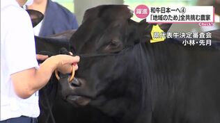 地域の期待を背負って　和牛日本一へ　初めて全共に挑む農家たちの思い　|　MRTニュース ｜ ＭＲＴ宮崎放送