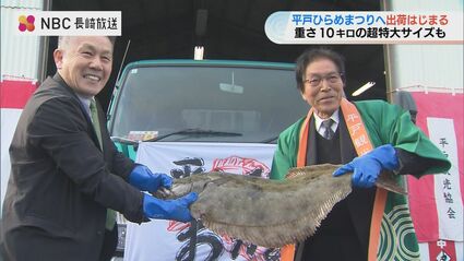 25日から平戸ひらめまつり 超特大サイズの「座布団ひらめ」出荷 長崎県