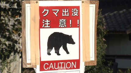 苗場のスキー場にクマ「7月に70代男性が腕をひっかかれた場所の近く