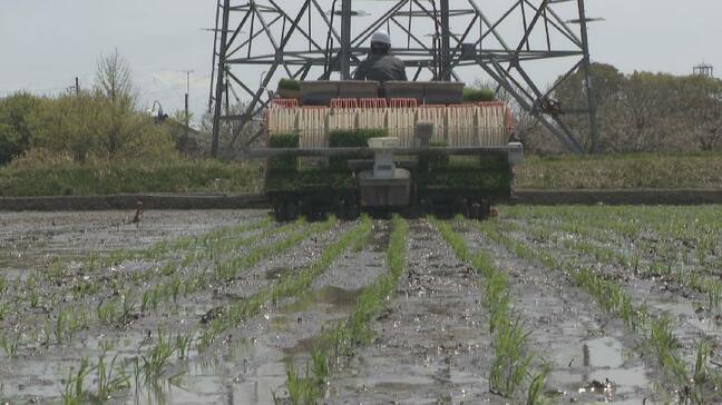 「1日300ℓ使うのに…」ホルムズ海峡“封鎖”が田植えを直撃　軽油170円台に悲鳴　肥料も数％上昇　富山・高岡市|TBS NEWS DIG