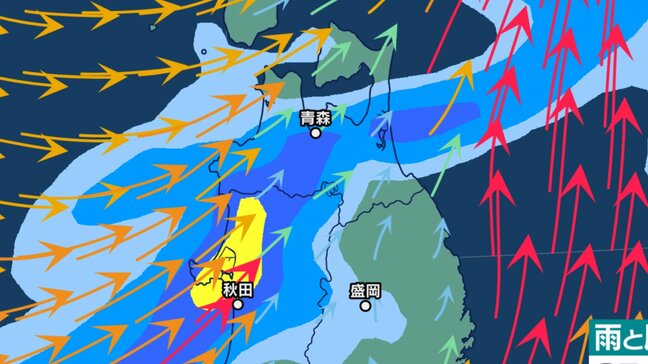 【大雨情報】24時間の予想降水量が津軽で100ミリ・下北で60ミリなど…　青森県内は各地で大気の状態が非常に不安定　津軽では『警報級の大雨』の恐れも…【雨と風の予想シミュレーションあり】|TBS NEWS DIG