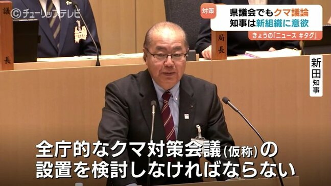 「従来の枠組みでは…」　新田知事が全庁的な「クマ対策会議」の設置を検討　県議会からの要望受け　富山|TBS NEWS DIG