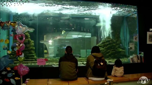 水産科学館マリエントが2か月休館 5月12日から 空調設備の改修工事など行なう 青森県八戸市|TBS NEWS DIG