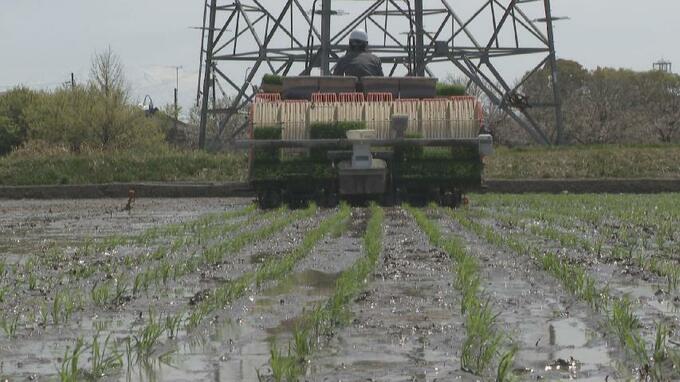 「1日300ℓ使うのに…」ホルムズ海峡“封鎖”が田植えを直撃　軽油170円台に悲鳴　肥料も数％上昇　富山・高岡市　|　富山のニュース｜天気・防災｜チューリップテレビ
