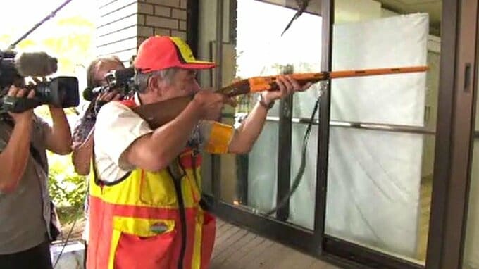 クマ出没が相次ぐ石川県内、市街地での銃使用を認める「緊急銃猟」想定の訓練「その場で引き金を引けるか…」猟友会からは本音も|TBS NEWS DIG