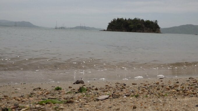 胸上浜が環境省の「自然共生サイト」に認定　漁場の再生に取り組む活動を評価【岡山・玉野市】|TBS NEWS DIG