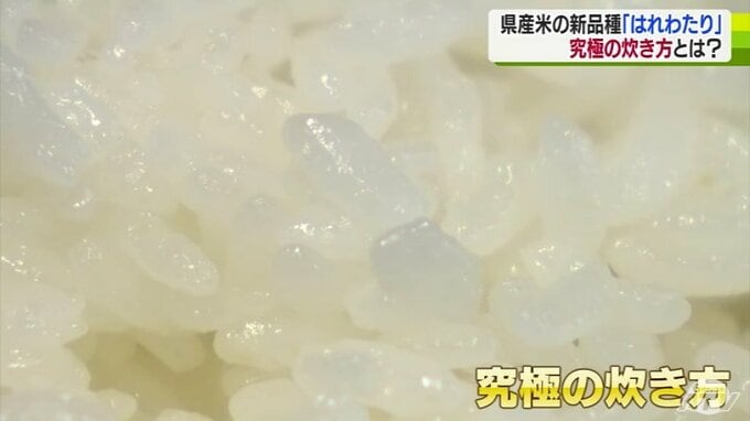 粘りと甘さが特徴！この秋デビューの青森県産米「はれわたり」よりおいしく食べる究極の炊き方|TBS NEWS DIG