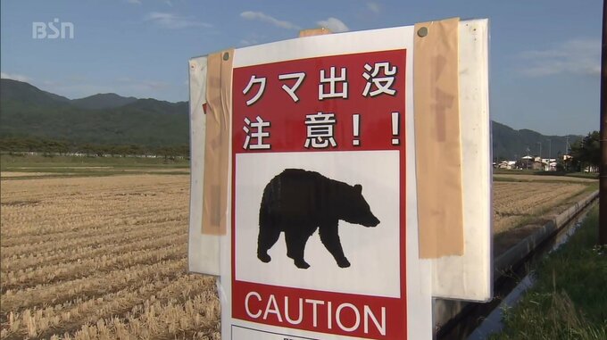 自宅の敷地内を横切る「クマ」が…新潟・魚沼市　|　新潟のニュース・天気｜BSN NEWS｜BSN新潟放送
