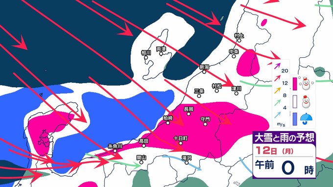 【 新潟の雪は？ 】3連休の11日(日)～12日(月祝)にかけて平地30cm、山沿いで70cmの降雪予想　暴風や高波にも警戒【14日午後3時までの雪のシミュレーション・9日午前8時更新】　|　新潟のニュース・天気｜BSN NEWS｜BSN新潟放送