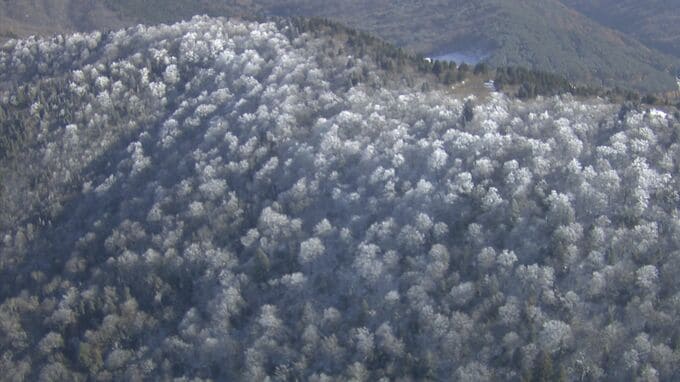 広島の恐羅漢が雪化粧　シーズン初　県北の山々も　師走の寒さ　ピークは一旦きょうまで|TBS NEWS DIG