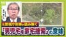 家宅捜索　元警視庁刑事は「事件としての手続きが始まったようにみる」　今後は「不自然なこと１つ１つ払拭していくのでは」【京都・南丹市で男児の遺体発見】|TBS NEWS DIG