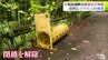 クマによる人的被害を受けて閉鎖されていた「十和田湖畔」の展望台の利用再開　市は「初動対応マニュアル」や「休日の当番表」を作成して秋の観光シーズンに備え　青森県十和田市奥瀬「瞰湖台展望台」　|　青森のニュース│ATV NEWS│青森テレビ
