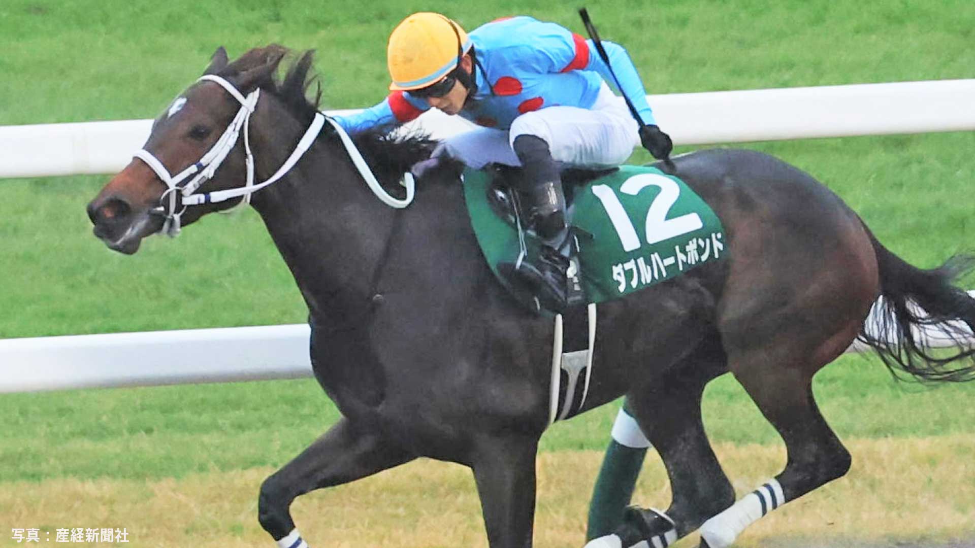 ダブルハートボンド、チャンピオンズカップ制す ！ ウィルソンテソーロ