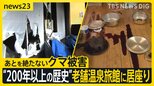 あとを絶たないクマ被害 “200年以上の歴史”老舗温泉旅館にクマ居座り 「寝ている部屋の前に…」経営者家族が語る緊迫の一夜【news23】|TBS NEWS DIG