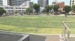 ビル街に“緑のオアシス” 大分市の「若草公園」に1300平米の天然芝 工事完了、利用始まる|TBS NEWS DIG