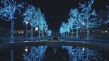 【映像】みずいろ公園のイルミネーション 福島・本宮市【四季カメラ】 | 福島のニュース│TUF