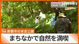「これジュラシックパークだね」那覇市のまちなかで自然に親しむ 末吉公園を探検! 【わがまちLink41】 | 沖縄のニュース|RBC 琉球放送