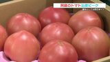 「夏秋トマト」西日本一の生産地・熊本県阿蘇地方で出荷がピーク　日差しをたっぷり浴びて品質良好　|　熊本のニュース｜RKK NEWS｜RKK熊本放送