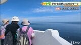 【マチトピ】日本一細長い佐田岬半島を歩くウォーキングイベント 愛媛・伊方町|TBS NEWS DIG