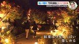 ７万坪の敷地にモミジ1000本　神勝寺（広島･福山市） RCCカメラマンが撮った紅葉　|　RCC NEWS | 広島ニュース | RCC中国放送