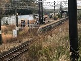 JR高鍋駅の線路上で男性が列車にはねられ死亡 | MRTニュース | MRT宮崎放送