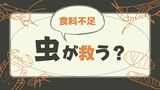 新感覚「昆虫食」恐る恐る…でもおいしい! 福岡市のデパートで販売 | 福岡のニュース|RKB NEWS|RKB毎日放送