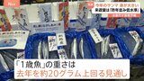今年のサンマは去年より大きい？水産庁が長期予報を発表　漁獲量は低水準のまま|TBS NEWS DIG
