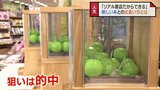 1か月分の本が3日ではけた！ “運命の一冊” に出会う “ドキドキ体験” で書店に熱気　富山　|　富山のニュース｜天気・防災｜チューリップテレビ